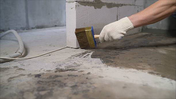SJ Waterproofing Pros Waterproofing coverage map for Farmington, MN and surrounding area